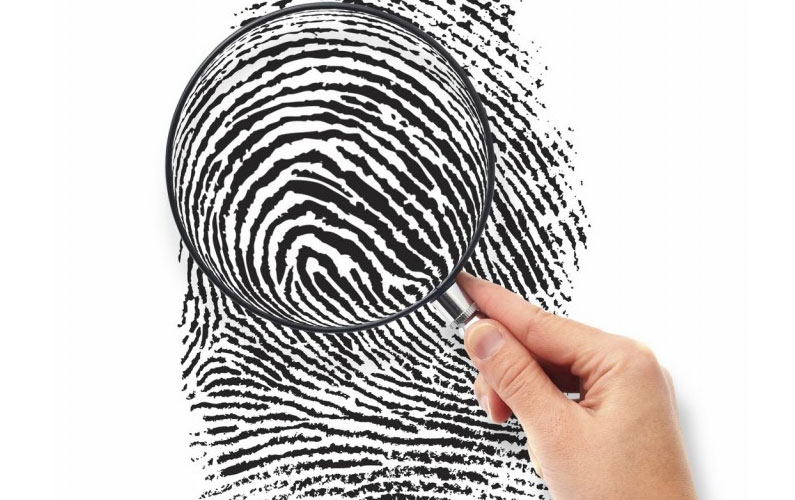 Nghiên cứu mới: Chẩn đoán nguy cơ mắc bệnh chỉ bằng cách xem dấu vân tay ảnh 3